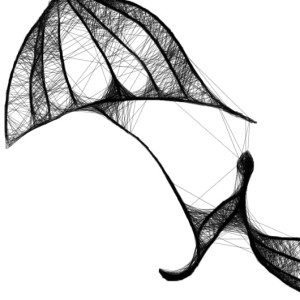 kobieca grafika nr 66 - porwana przez wiatr, detal