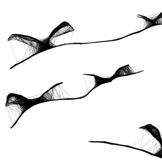 Autorska grafika nr 60 - ptaki, detal