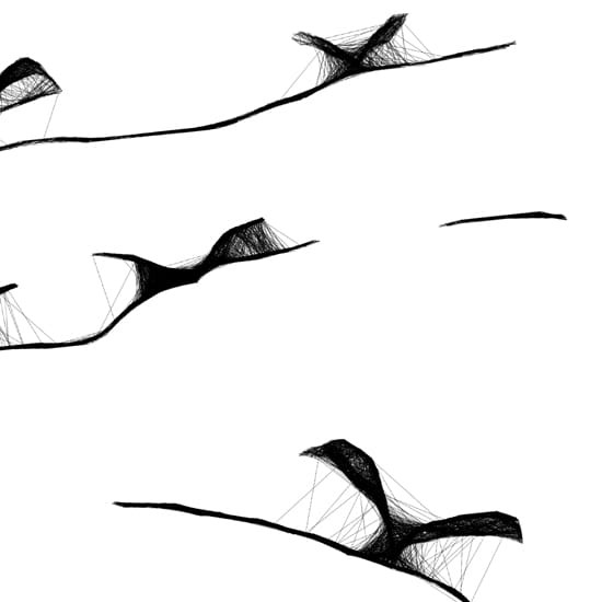 Autorska grafika nr 60 - ptaki, detal