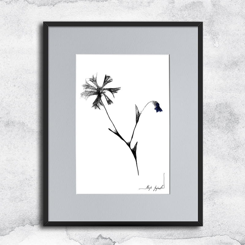 Autorska czarnobiała grafika - chabry nr 126