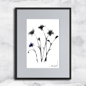 Autorska czarnobiała grafika - chabry nr 125