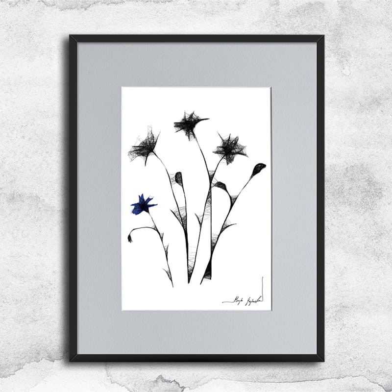 Autorska czarnobiała grafika - chabry nr 125