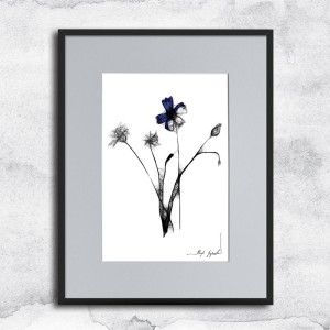 Autorska czarnobiała grafika - chabry nr 124