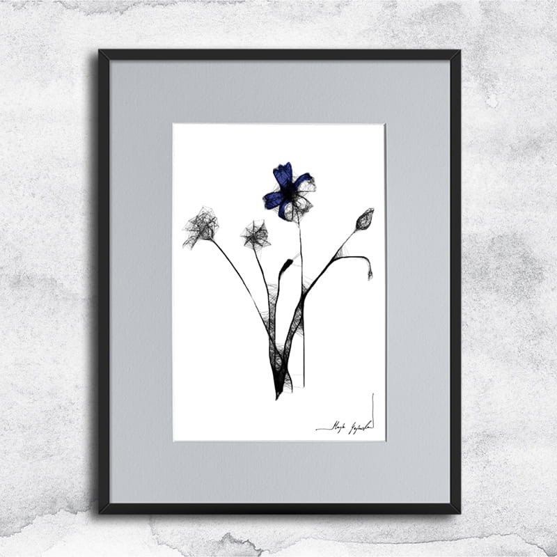 Autorska czarnobiała grafika - chabry nr 124