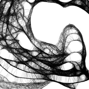 Autorska czarnobiała grafika - chabry nr 32, detal