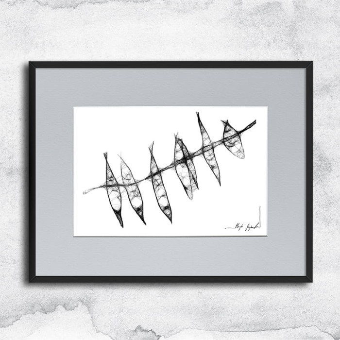 Autorska czarnobiała grafika nr 14 - Ryby