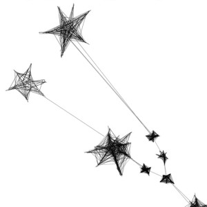 Autorska grafika nr 155 - Byk - detal