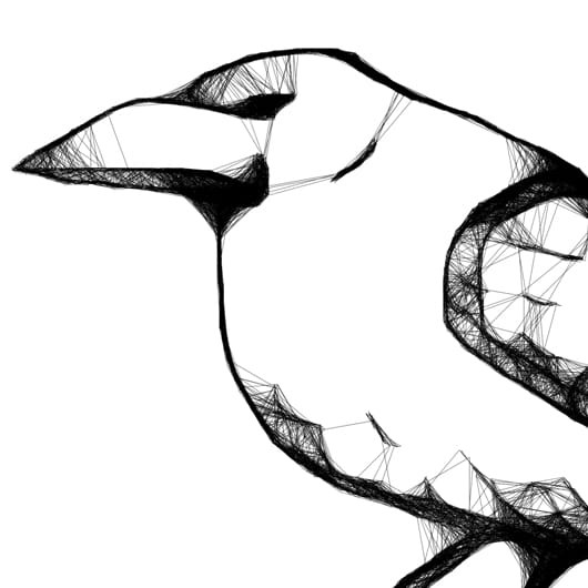 Autorska grafika nr 114 - kruk, detal