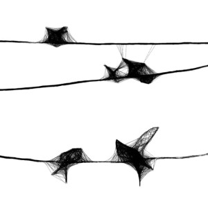 Autorska grafika nr 105 - ptaki, detal