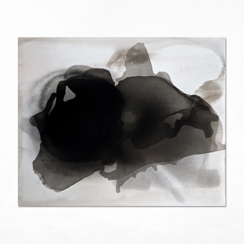 Obraz w formacie 100x120cm, prezentuje organiczną, amorficzną formę zbudowaną z nakładających się warstw sepii oraz grafitowo-czarnego pigmentu rozpływającego się na jasnym tle.
