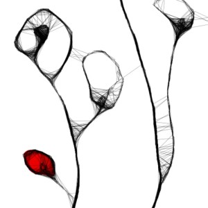 Autorska grafika nr 9 - maki, detal