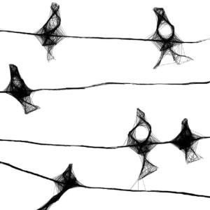 Autorska grafika nr 6 - ptaki, detal