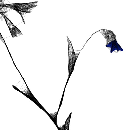 Autorska czarnobiała grafika - chabry nr 126, detal