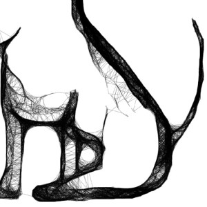 Autorska grafika nr 109 - Bulterier, detal