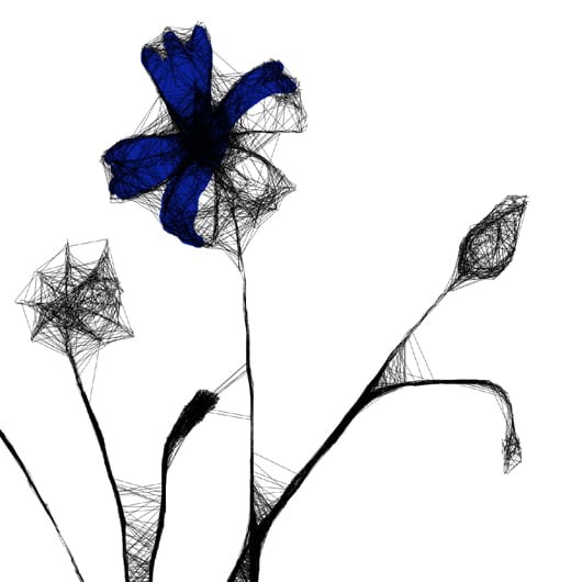 Autorska czarnobiała grafika - chabry nr 124 , detal