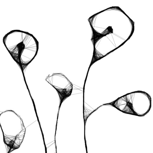 Autorska grafika nr 9 - maki, detal