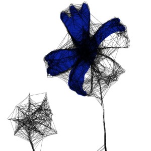 Autorska czarnobiała grafika - chabry nr 124 , detal