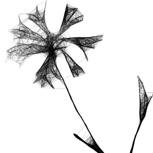 Autorska czarnobiała grafika - chabry nr 126, detal